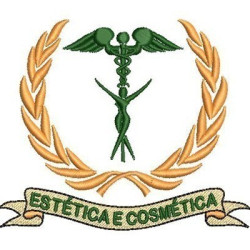 Embroidery Design Aesthetics And Cosmetics