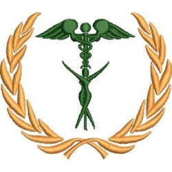 Embroidery Design Aesthetic Shield