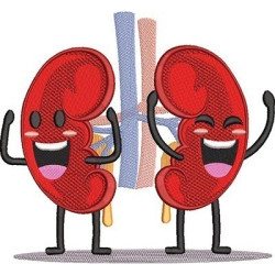 NEPHROLOGY 2