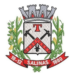 Diseño Para Bordado Municipio De Salinas