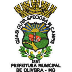 Embroidery Design Municipality Of Oliveira Mg