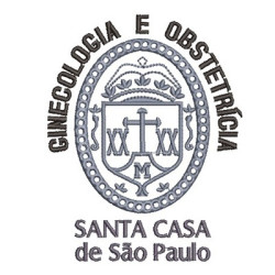 Matriz De Bordado Santa Casa De São Paulo Ginecologia