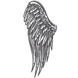 ANGEL WING 2