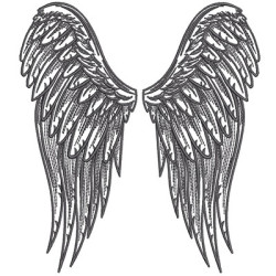 PAIR OF ANGEL WINGS 1