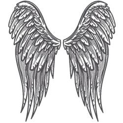 PAIR OF ANGEL WINGS 2