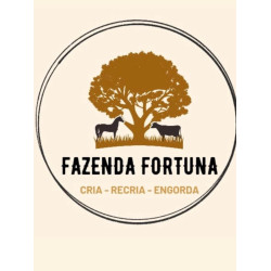 Desenvolvimento fazenda fortuna com 9,5 cm - libera em 1 dia útil