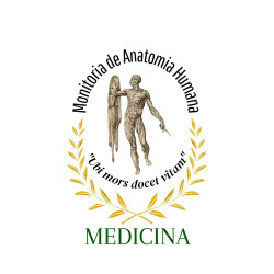 Desenvolvimento Anatomia medicina 10 cm - libera em 3 dias úteis
