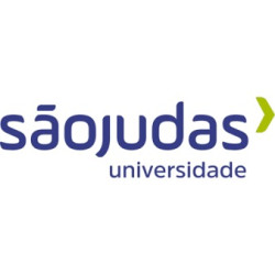 Desenolvimento São judas com 10 cm - liebra em 1 dia útil