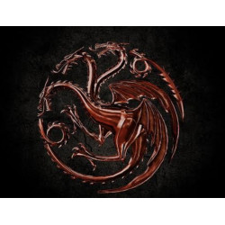 Desenvolvimento Dragão logotipo 8 cm - libera em 3 dias úteis