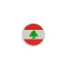 40 Button Countries Pins