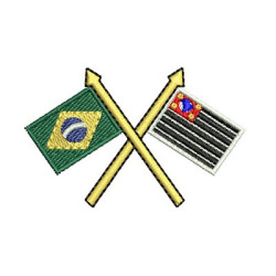 FLAG SAO PAULO AND BRAZIL 2