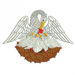 Pelican