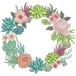 FRAME SUCCULENTS PLANTS 1