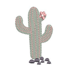 CACTUS 4