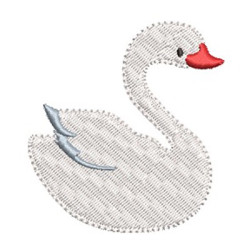 CISNE 7