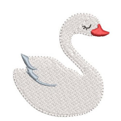 CISNE 8