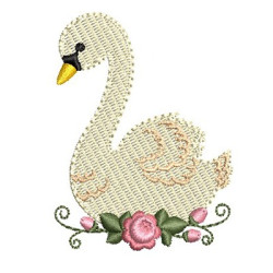 CISNE 12