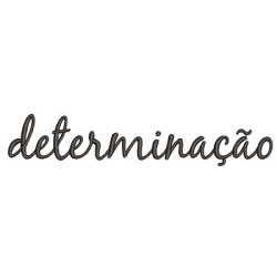 DETERMINATION PT