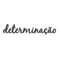 DETERMINACIÓN PT 2