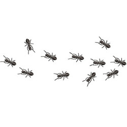 Embroidery Design Trail Of Ants 3