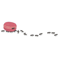 MACARONS LOAD ANTS