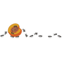 PEACH LOAD ANTS