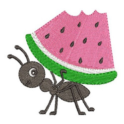 WATERMELON LOAD ANT