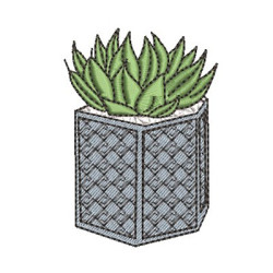 Diseño Para Bordado Cactus 12