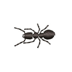 SMALL ANT 3