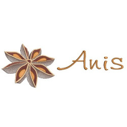 Matriz De Bordado Flor De Anis 2