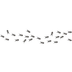 Embroidery Design Trail Of Ants 1