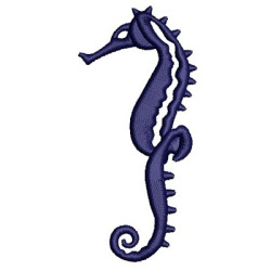 SEAHORSE 4