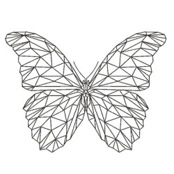 MARIPOSA POLYART 2