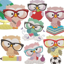 Embroidery Design Owl Glasses Package