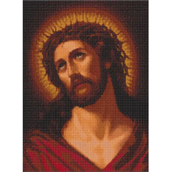 JESUS IN POINT CROSS 26 X 20