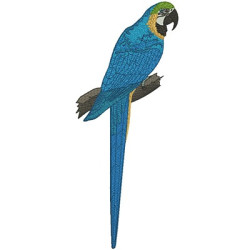 Embroidery Design Arara 35 Cm