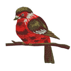 Embroidery Design Cardinal