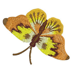 MARIPOSA 10 CM