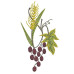 GRAPES 12 CM STOLES