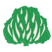 árbol Presbyterian Septiembre 2015