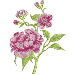 Diseño Para Bordado Rosas 9