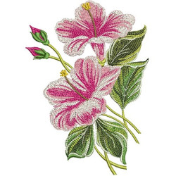 Diseño Para Bordado Hibiscos