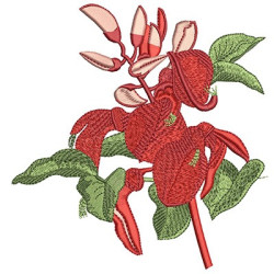 Diseño Para Bordado Ceibo Flor