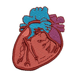 Diseño Para Bordado Corazón  Cardiología