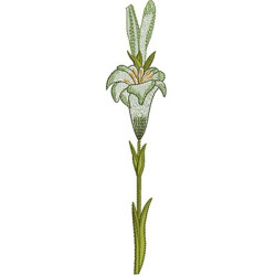 Embroidery Design Lily Of 20 Cm