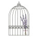Cage With Lavender January 2015