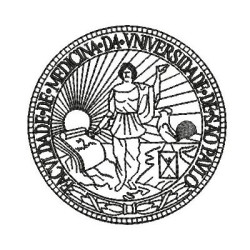 Matriz De Bordado Faculdade De Medicina Usp