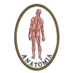 Embroidery Design Anatomy