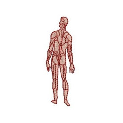 Matriz De Bordado Corpo Humano
