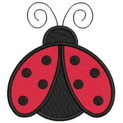 LADYBUG APPLIED